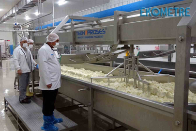 Türkiye nin ilk süt işletme tesisinde bu yıl 770 ton ürün elde edildi
