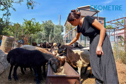 ‘Hadi gel köyümüze destek verelim’ projesi büyümeye devam ediyor