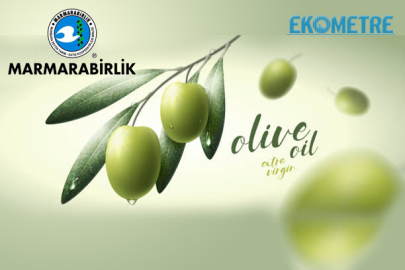 Marmarabirlik zeytin alım tavan ve taban fiyatlarını açıkladı