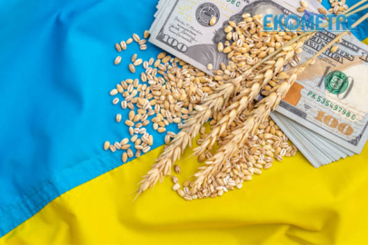 Ukrayna Merkez Bankası faiz indirdi