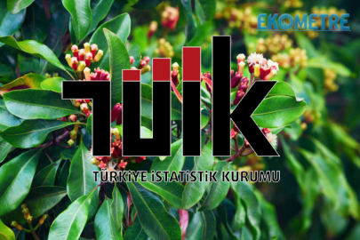 TÜİK, Bitkisel Üretim 2. Tahminini açıkladı