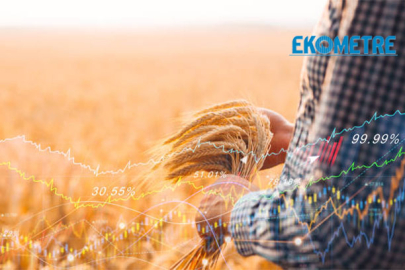 Tarım-GFE, aylık bazda yüzde 2,63, arttı