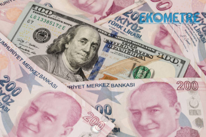 Dolar 30 TL'yi aştı