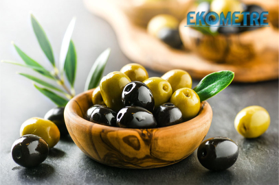 Sofralık zeytin ihracatı yüzde 52 arttı