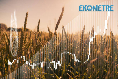 Tarım-ÜFE,  aylık yüzde 7,18 arttı