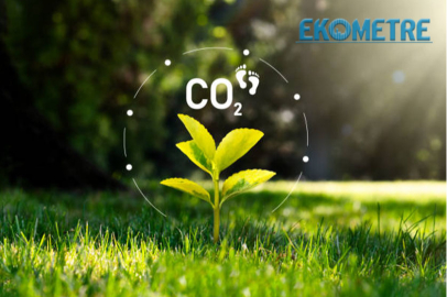 Karbon ayak izini azaltmamanın yıllık maliyeti