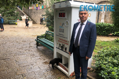 Pugedon MamaMatik kedilere umut oluyor