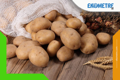 Patates fiyatındaki pahalılığın sebebi