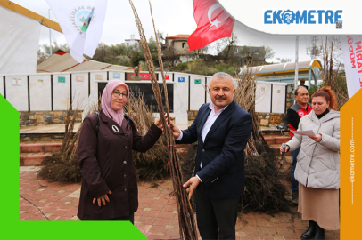Kavaklıdere’de cennet elması fidanı dağıtıldı