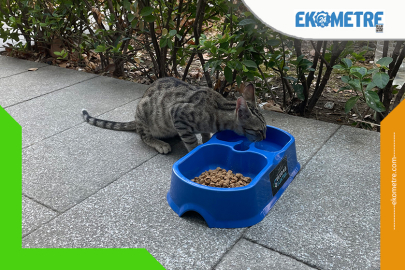 Uludağ Elektrik: Sevgimiz, Enerjimiz sizinle