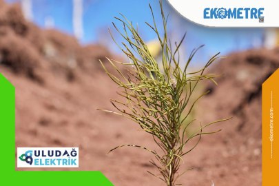 Uludağ Elektrik’ten doğa dostu çözüm