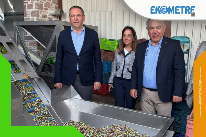 Zeytinyağı ihracatında en büyük sorun markasızlık