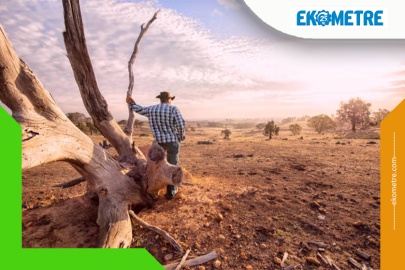 2025’te sıcaklık trendi devam ediyor