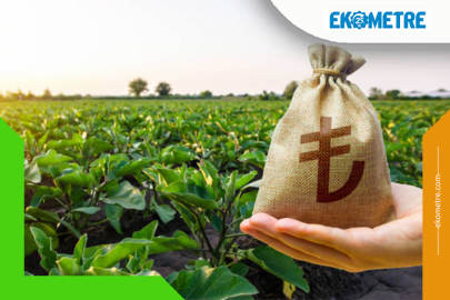 Tarımsal destekleme ödemesi bugün yapılacak