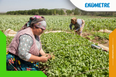 Antalya’da bedava olsa İstanbul’da 21 lira