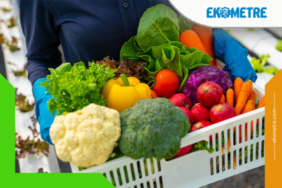 2025 beslenme alışkanlıklarımızı yeniden şekillendirdi