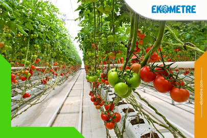 HEKTAŞ güçlü ESG performansıyla dünya ikincisi