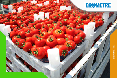 Gıdada ihracat 30 milyar dolara dayandı