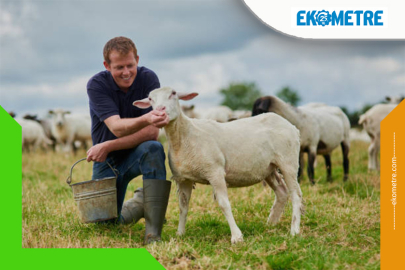 Küçükbaş Hayvancılık için çözüm odaklı çağrı