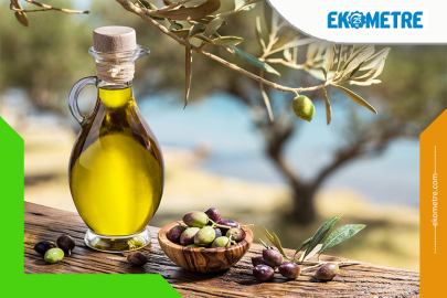 Bir ağaçtan bir medeniyete