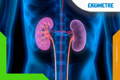 Uzmanlara göre böbrek hastalarının dikkat etmesi gerekenler