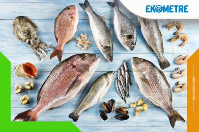 Amerikalılar Türk levreğine hayran kaldı