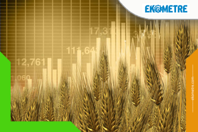 Gıda enflasyonuna karşı yapısal reformlar gündemde