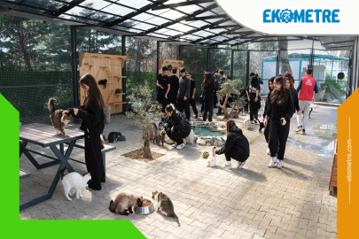 Gençerlerden patili canlara ziyaret