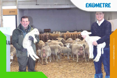 Bursa'ya 90 milyon TL'lik modern üretim tesisi