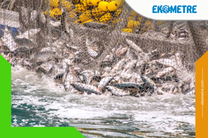 Av yasağının başlamasına 9 gün kaldı