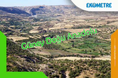 Güneydoğu Anadolu'da sanayi ve tarım güçlenecek