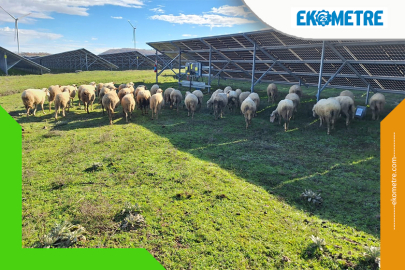 Borusan EnBW Enerji’den örnek döngüsel ekonomi modeli