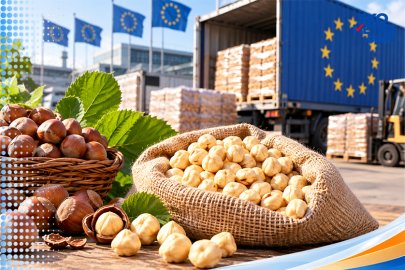 Düzce’den AB’ye 9 ayda 7 bin 973 ton iç fındık ihracatı