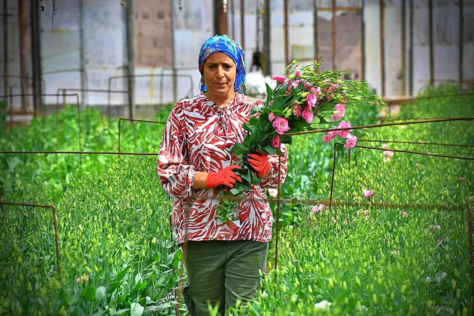 Bademlerin çiçek üreticisi Hollanda borsasında