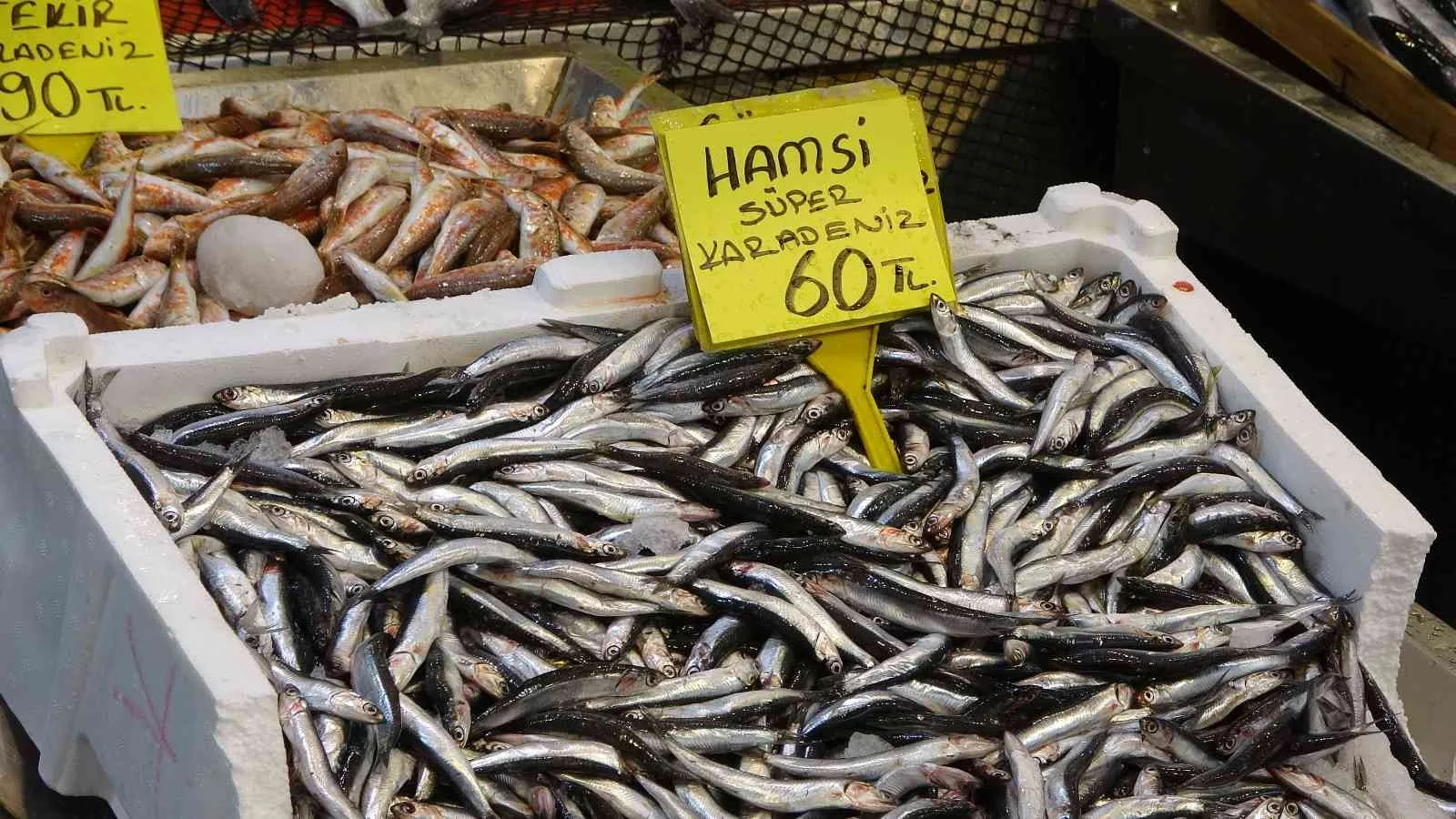 Balık fiyatları geriledi, hamsinin fiyatı 110 TLden 60 TLye düştü