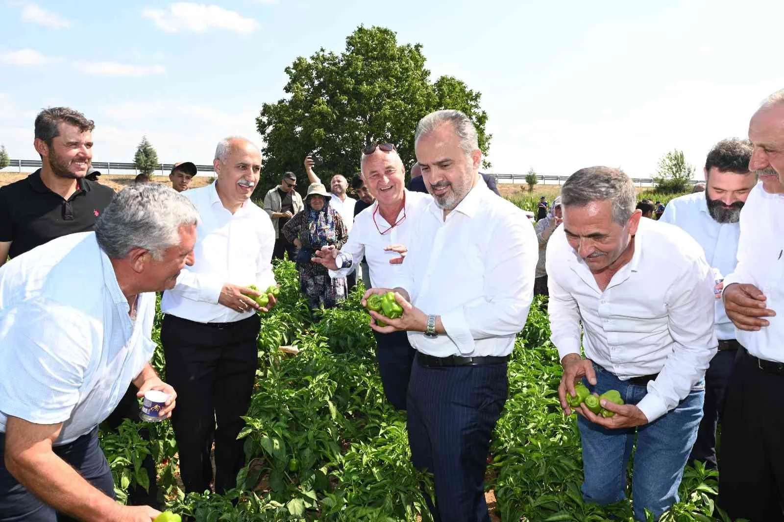 Bursa Büyükşehirin Çiftçiye Desteği Sürüyor