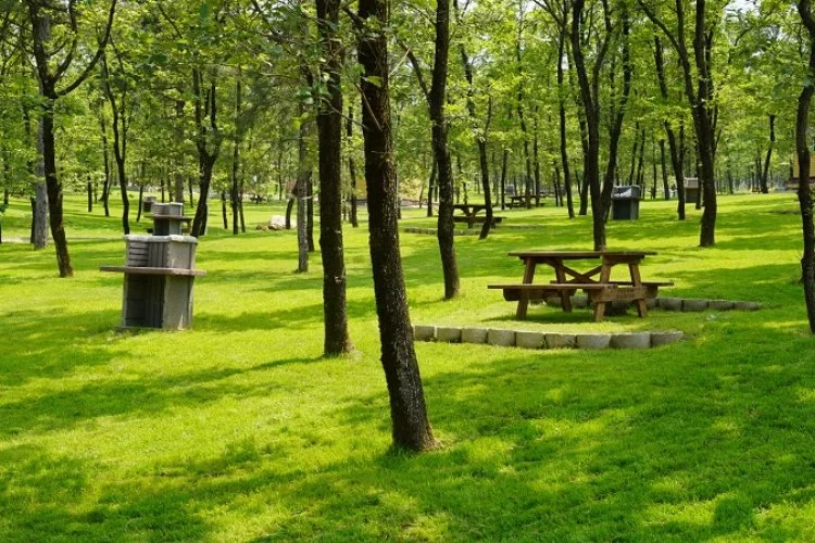 Bursa Cumalıkızık a yüz bin metrekare park