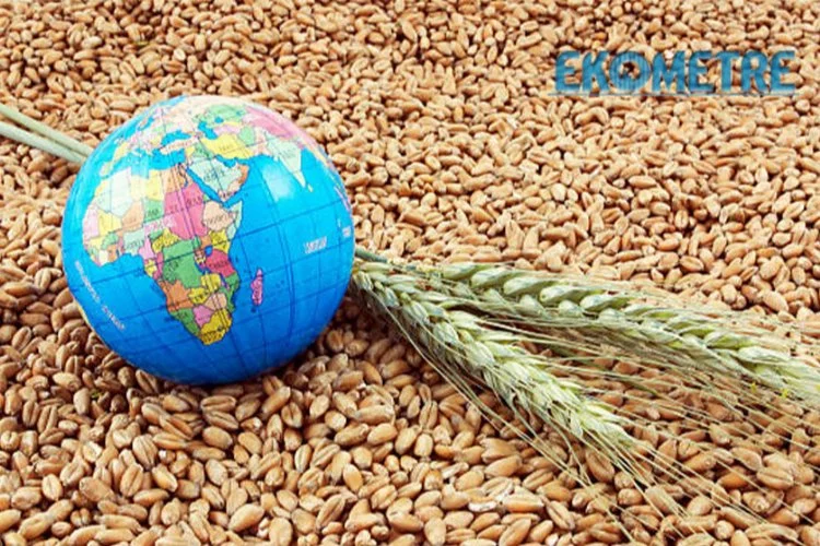 Gıda fiyatları dünyada yüzde 10 düştü Türkiye'de yüzde 72 arttı