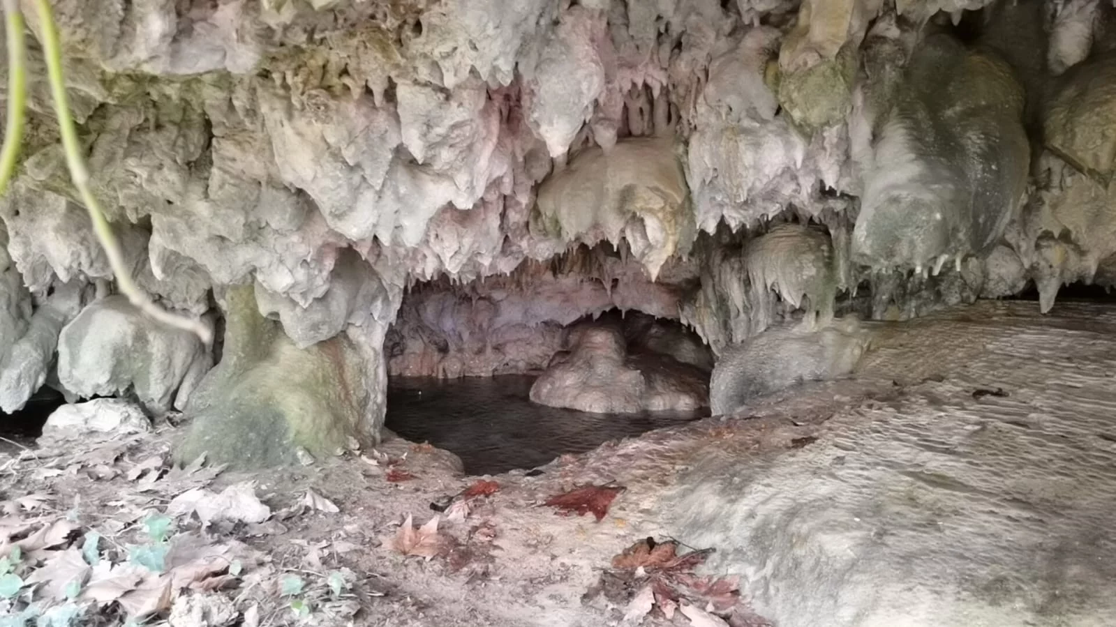Hayvanlarını Otlatırken Binlerce Yıllık Mağarayı Buldular