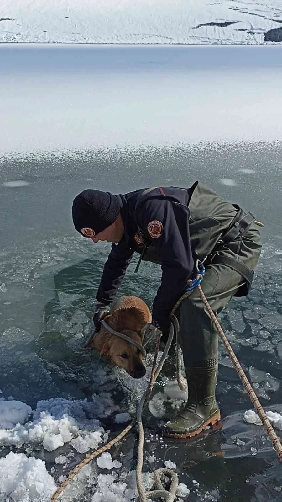 İtfaiye Ekipleri Buz Tutan Gölete Düşen Köpeği Donmak Üzereyken Kurtardılar
