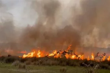 İznik Gölünde Sazlık Alanda Korkutan Yangın