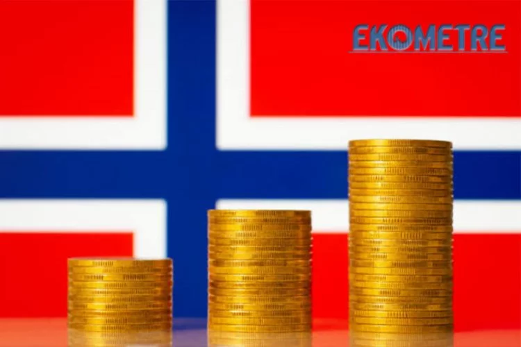 Norveç Varlık Fonu'nun  Türkiye'deki yatırımları