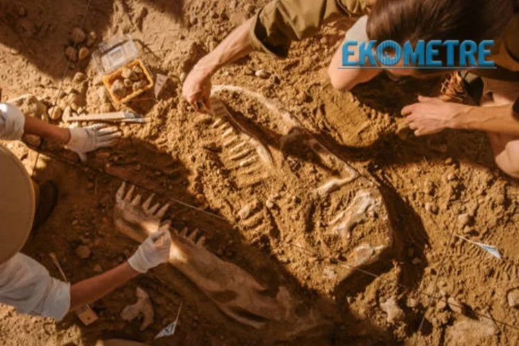 Paleontologlar, 200 bin yıllık mezar buldu