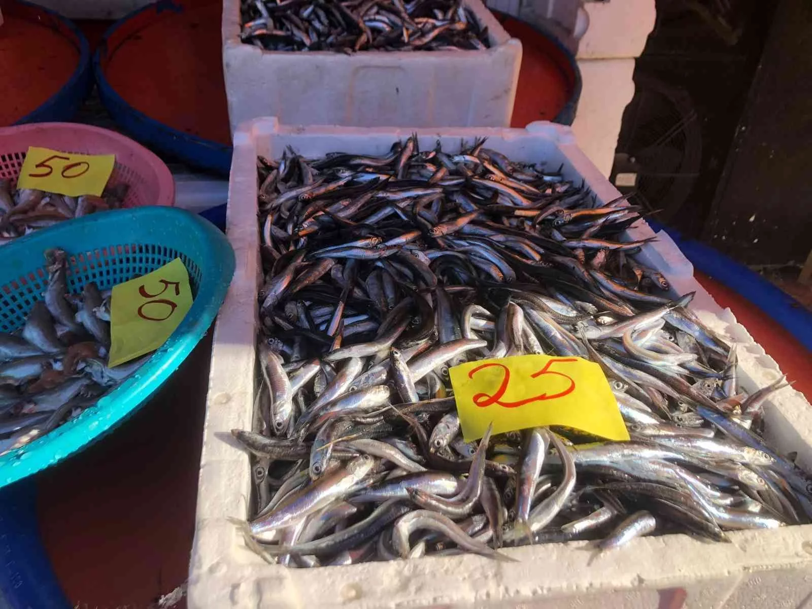 Rizeliler Doğu Karadenizden çıkmayan balığın lezzetini beğenmiyor