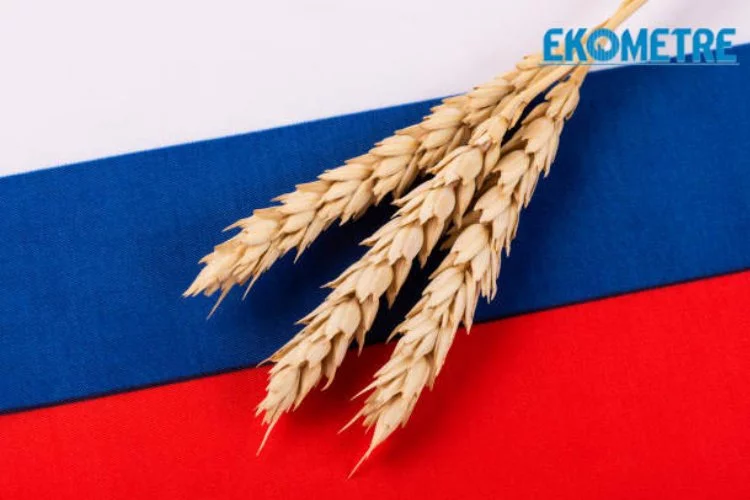 Rusya dan Afrika daki bazı ülkelere bedelsiz tahıl sevkiyatı