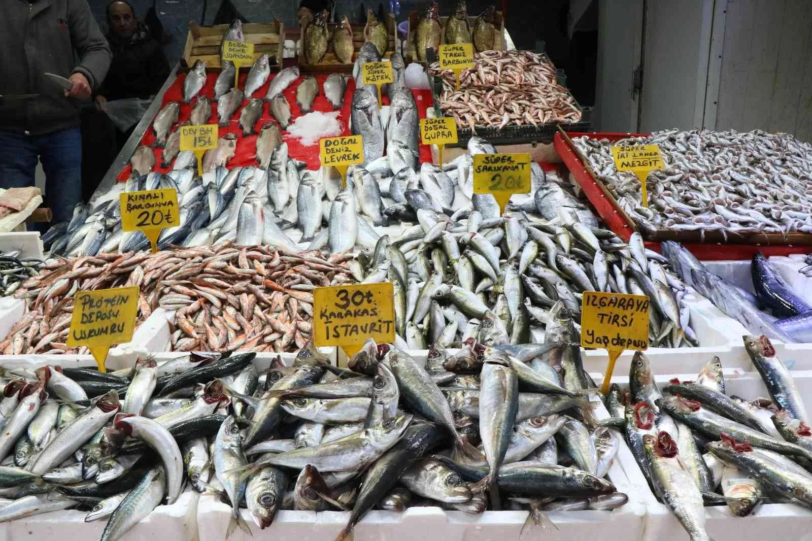 Samsunda balık fiyatları arttı
